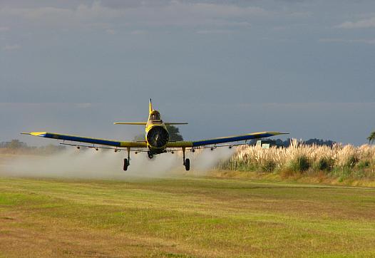 Biomonitoring can measure the “body burden” of chemical exposures, including pesticides.