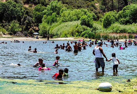 People play in water tainted by blue-green algae