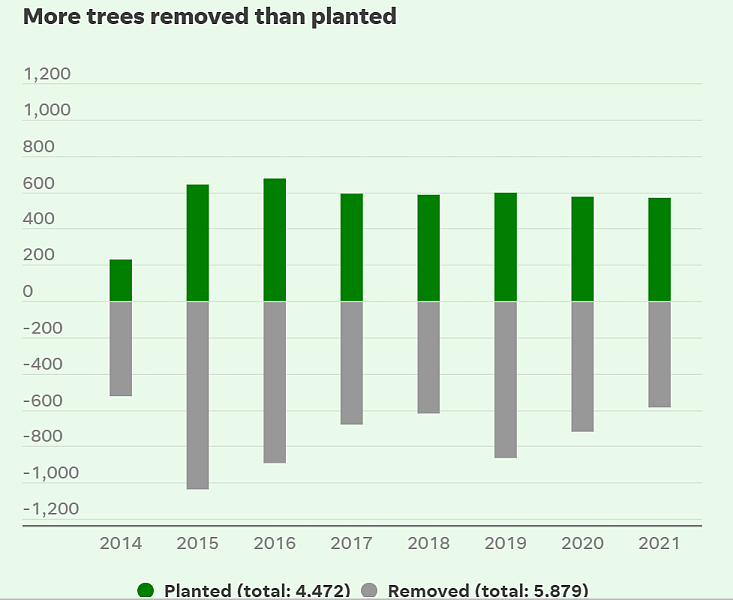 Source: City of Rochester Division of Forestry. Includes only city-maintained trees.