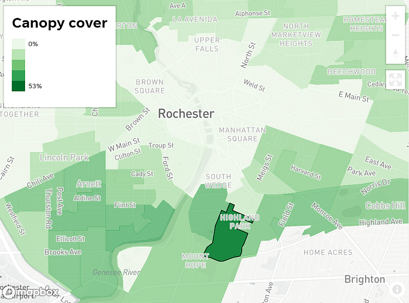 Now look across town at Highland Park. Here the tree canopy covers 49% of the land, the highest mark in the city.