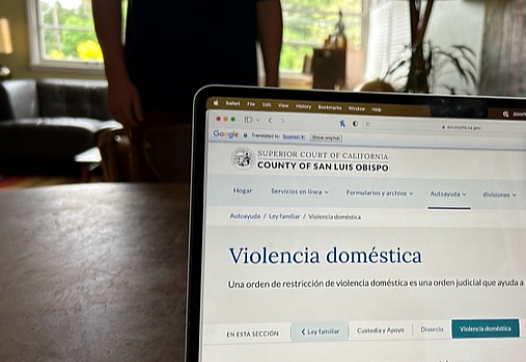 Image of a laptop with page saying 'Violencia domestica'