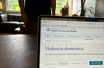 Image of a laptop with page saying 'Violencia domestica'